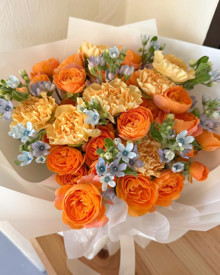 qmyerii's tweet photo. @cuyoungwv To : kaka cantik @HB94SOOJUNG 

Selamat ulang tahun eonni ~ semoga selalu berbahagia. Jaya di laut, di darat  dan di udara.

#SailingWithKlee 

Fr : @qmyerii @vbwoozi https://t.co/AasJqPStmP