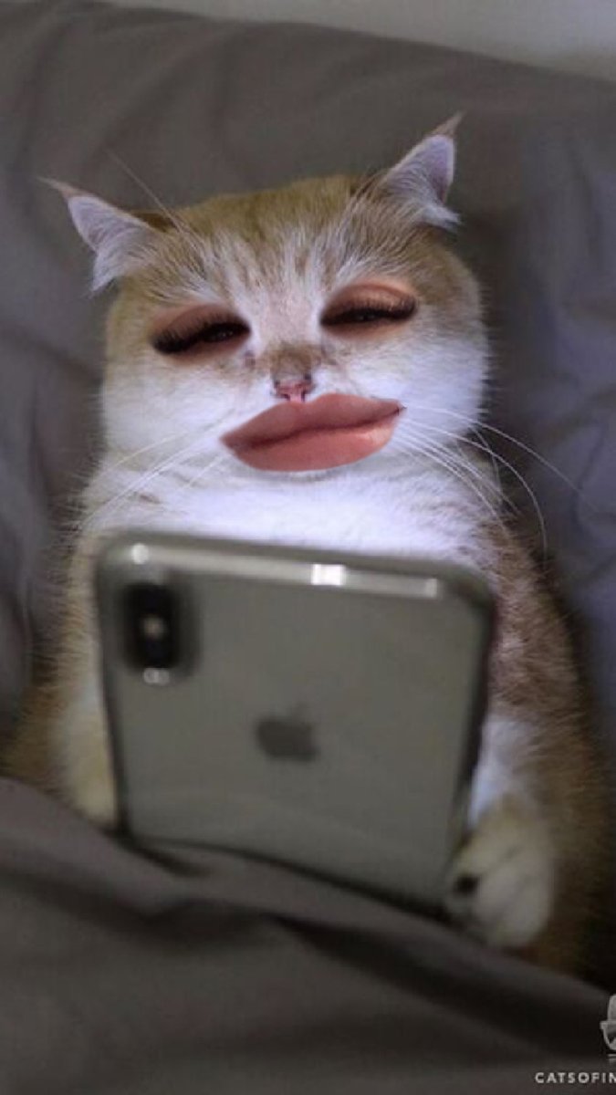 mywegath's tweet image. Ahahah @JakeB4rever I found an ideal inst filter for you🤣🤣