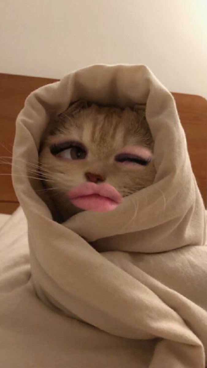 mywegath's tweet image. Ahahah @JakeB4rever I found an ideal inst filter for you🤣🤣