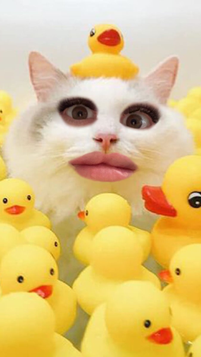mywegath's tweet image. Ahahah @JakeB4rever I found an ideal inst filter for you🤣🤣