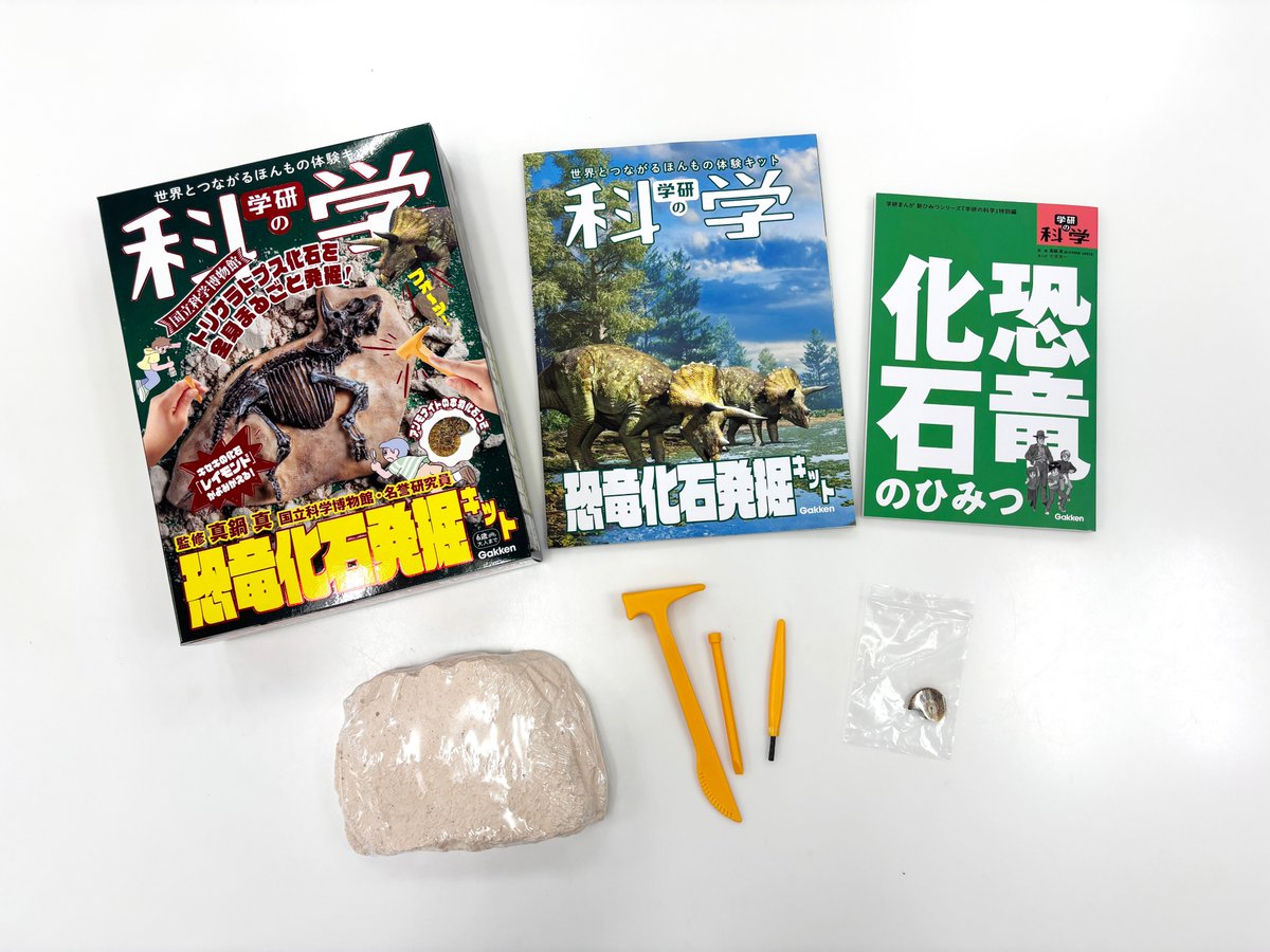 恐竜の化石　ナイフ　登録証付き 恐竜の化石 ナイフ 登録証付き