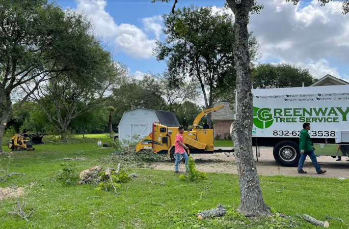 greenway_tree's tweet photo. New customer special: 10% off all tree services. 💰

Trimming, removal, stump grinding, disease treatment.
Financing available.
100% satisfaction guarantee.

https://t.co/lkdfvsEkK3 
#TreeServiceDeal #Franklin https://t.co/NPasI8IY7I