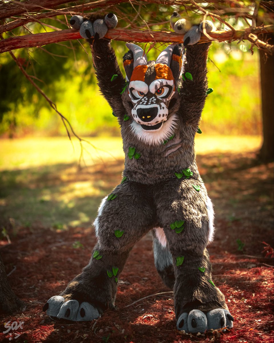 Beviraku's tweet photo. Just hanging around on this la dee dah dah day! Happy #fursuitfriday !
📸: @SilySox
🧵: @BeetleBarkSuits
#furry #furryfandom #furrycommunity #fursuit #waterbuck #fursuiting #acfi2025 #acfi https://t.co/svuXxRV7RT