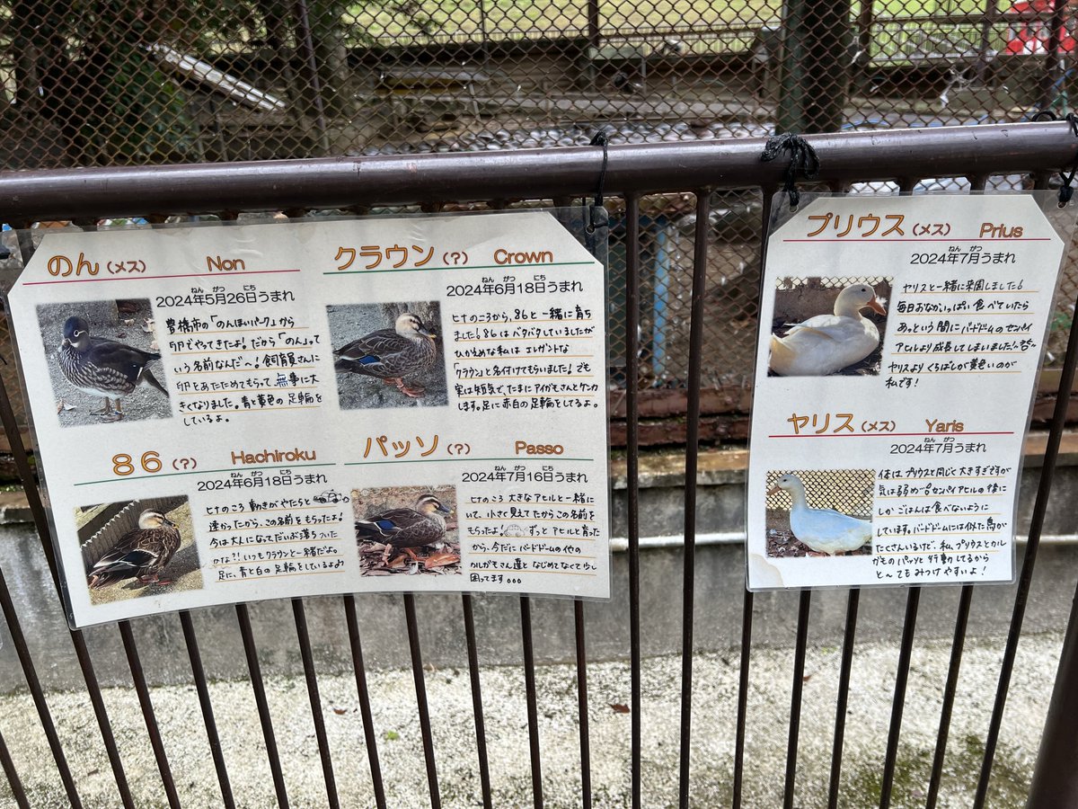 misthia06's tweet image. 豊田市よ
流石にやりすぎやw