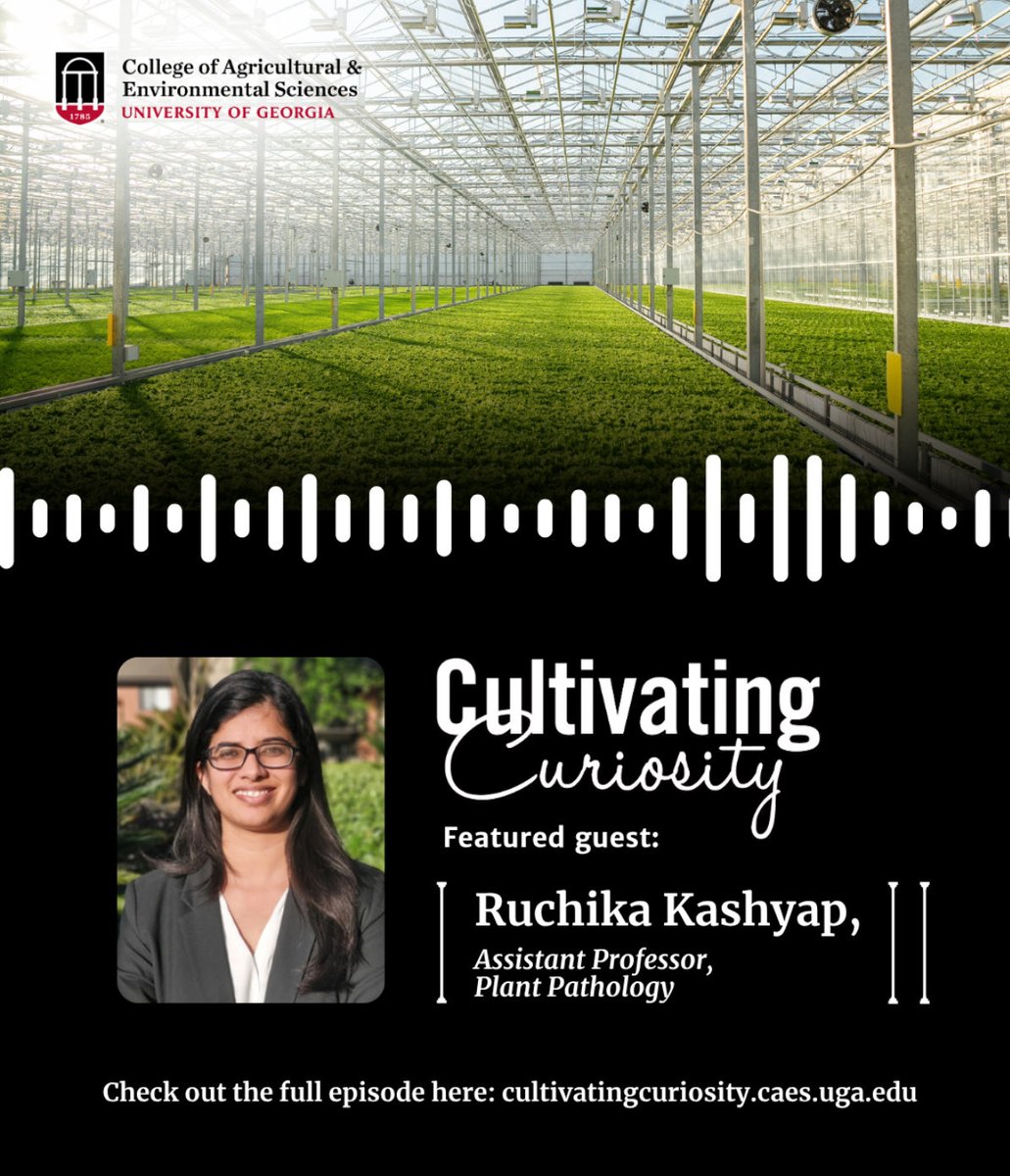 Ruchiikashyap's tweet image. Featured on @UGA_CollegeofAg Podcast “Cultivating Curiosity” with my fellow colleague @rhuanito. Thankyou Jordan Powers and Emily Cabrera for an amazing conversation on CEA.
Listen here: fieldreport.caes.uga.edu/news/controlle…