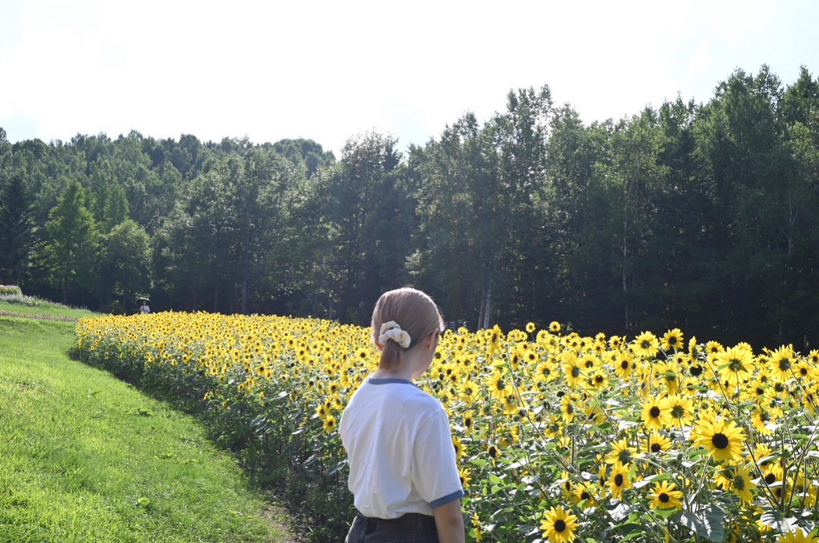 niCo (@nico_ssw_) / Posts / X