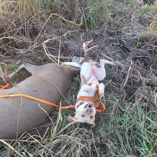 There may be no kings but she a queen