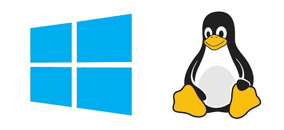 EmperorMikel_'s tweet image. Everyone can agree it’s Linux right, though I use Windows