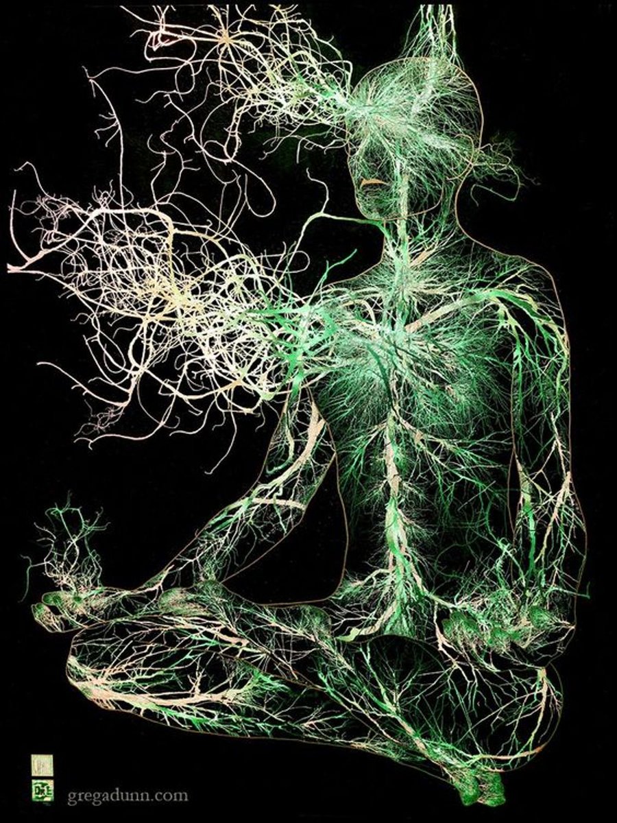 뇌 신경망의 예술적 묘사: 초록빛으로 빛나는 신경들이 명상 자세의 인간 형태를 이룸