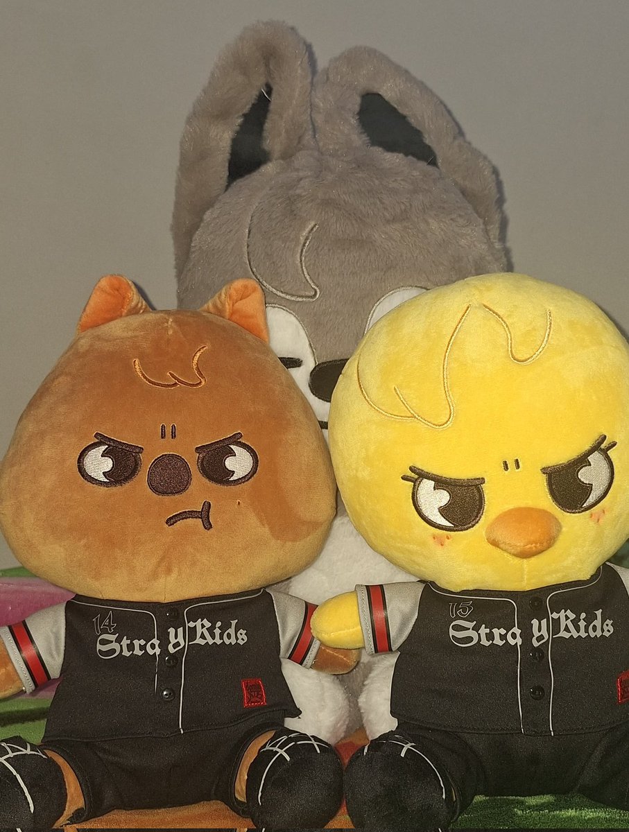 ~Feedback positivo para <a href="/everjoorie/">ؘ</a> por organizar a ceg que trouxe meus cabecinhas de raquete pra casa. Ceg foi tranquila e muito bem organizada. Obrigada por trazer meus filhos em segurança 💗💗