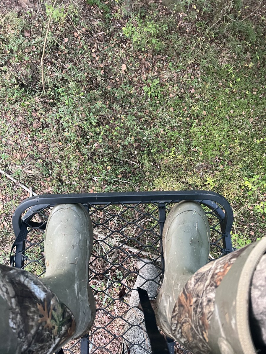 realbenmcdonald's tweet photo. Good morning from deep in the forest….anyone else got their boots off the ground on a beautiful late October morning? Hope everyone enjoys the weekend and gets to do something you love to do! 👊#WhatGetsYouOutdoors #RechargingTheBatteries #realtreeoutdoors #realtreecamo #realtreelife #bowhunt