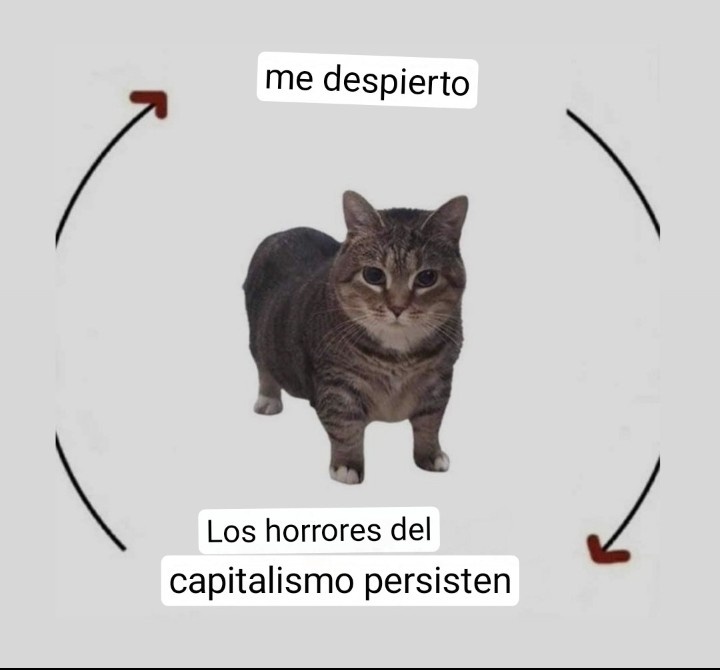 mileroja15's tweet image. Viernes 😮‍💨