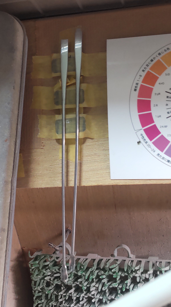 みどりページ 翠(みどり) (@midori_model) / Posts / X