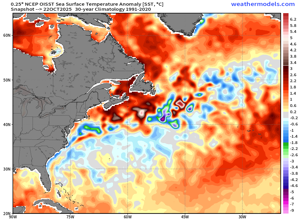 Potentially important trend in the Atlantic Ocean for winter N. Atlantic blocking prospects.

Over the past month or two the AMO trend has been steadily more positive (vs. the negative state that dominated summer). 

Cool ENSO - Weak Niña winters with a +AMO (left) are much more