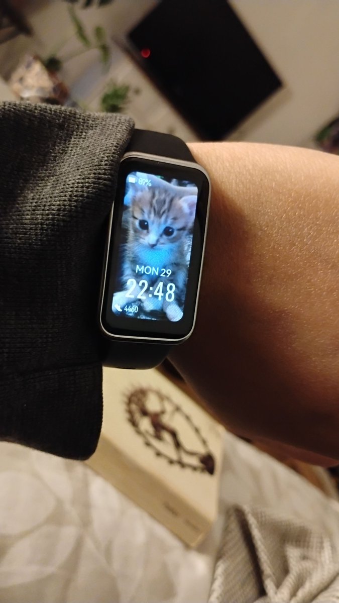 he looks familiar...oh that's right