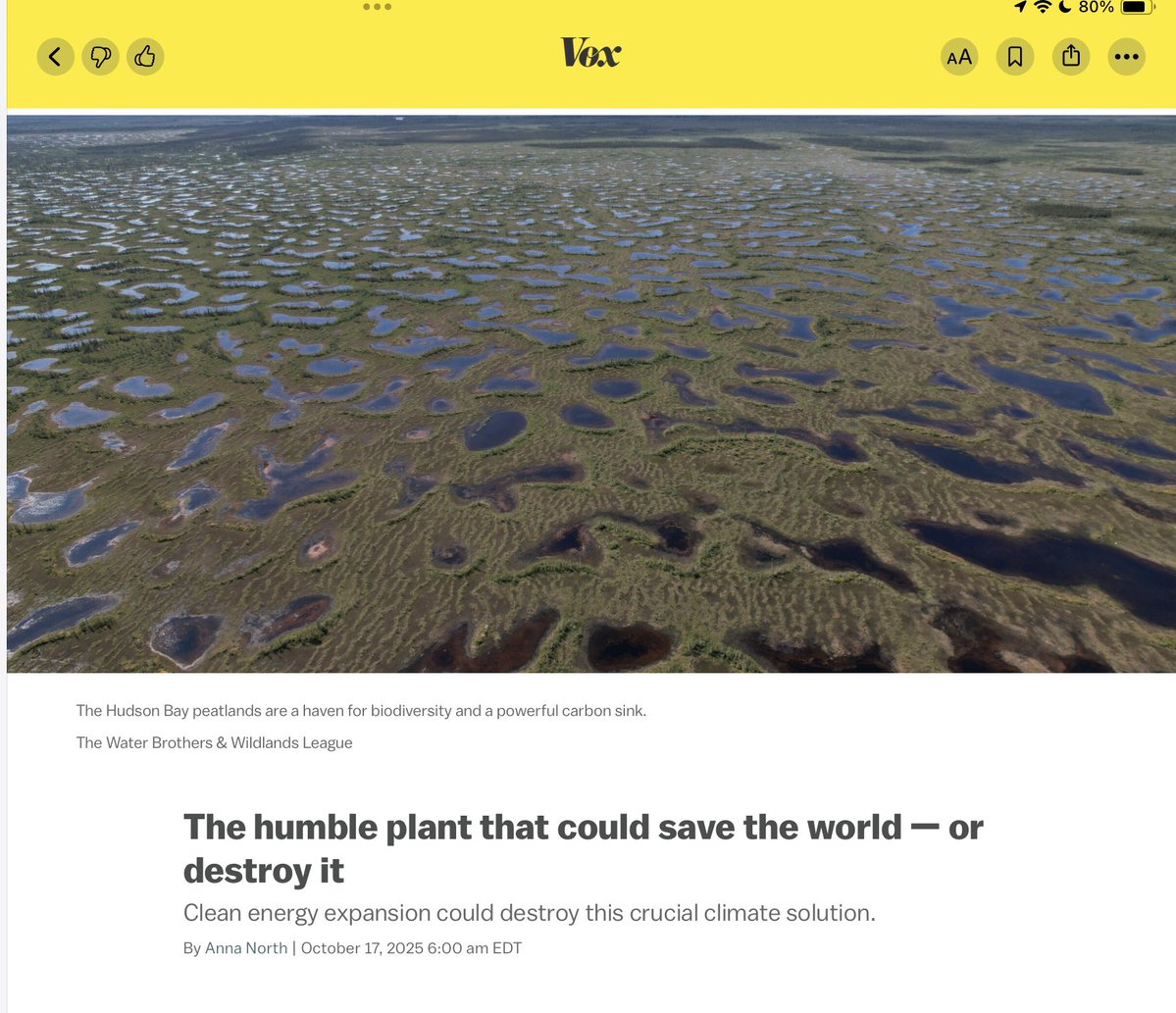 Peatlands cover just 3% of Earth’s surface but store nearly 30 % of its carbon.

Destroying them for minerals isn’t progress. It’s Dunning-Kruger with a bulldozer.