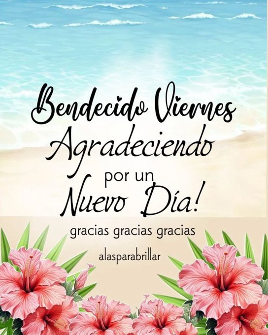 A scenic beach landscape features golden sand meeting a calm blue ocean under a clear sky with sunlight. Pink hibiscus flowers bloom vibrantly in the foreground. Elegant black cursive text overlays the scene stating Bendecido Viernes Agradeciendo por un nuevo Dia with gracias repeated below.