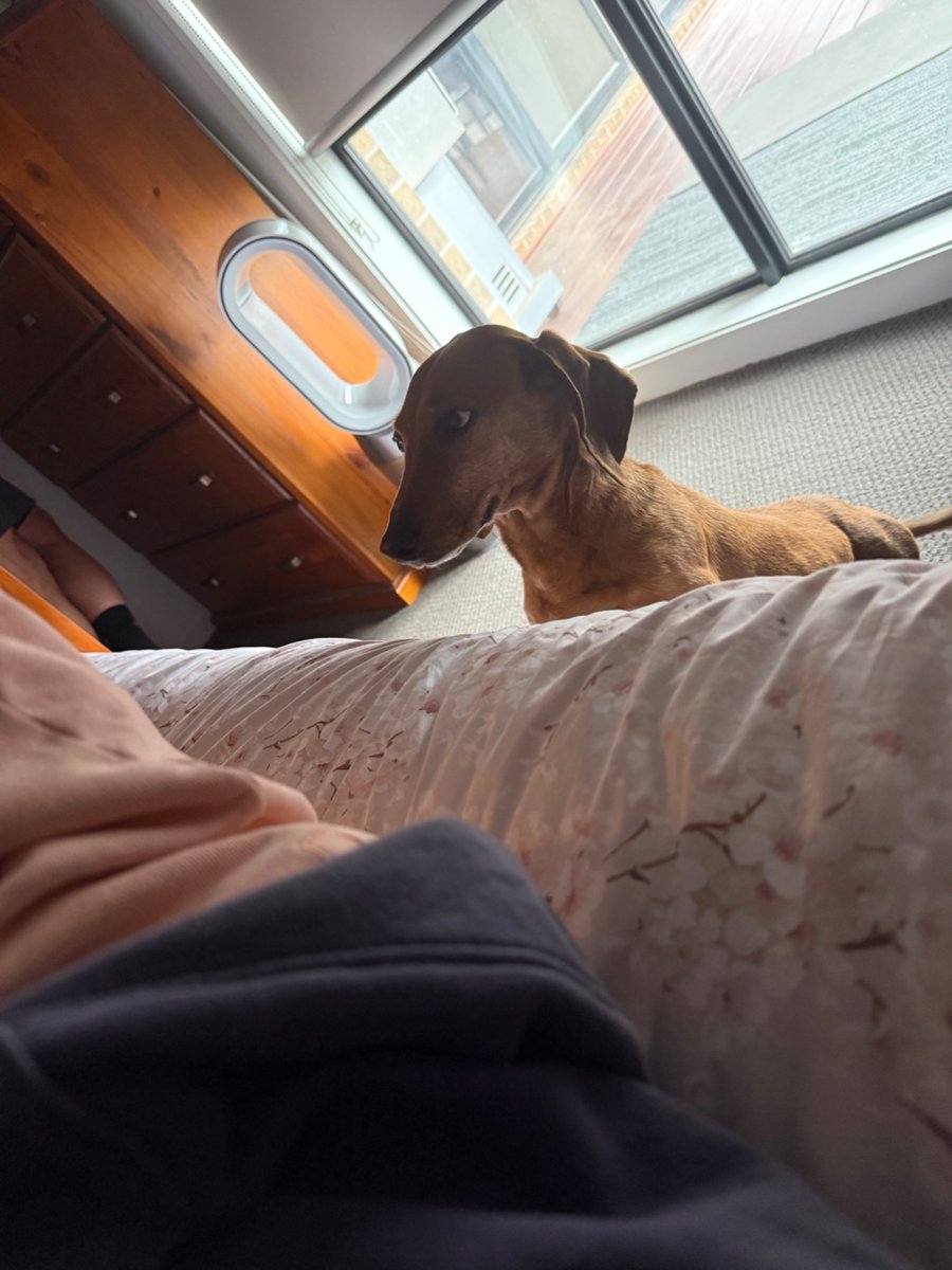 alex_whybrow's tweet image. Better day ! You only need to take one day at a time.