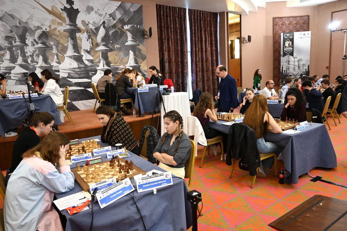European Chess Union tweet media