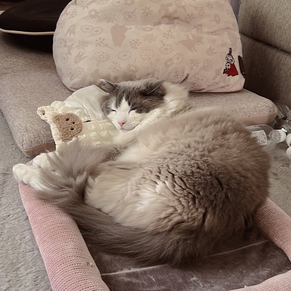 cococonut0127's tweet photo. ティッシュは枕 https://t.co/Vsk1qAP3Yq