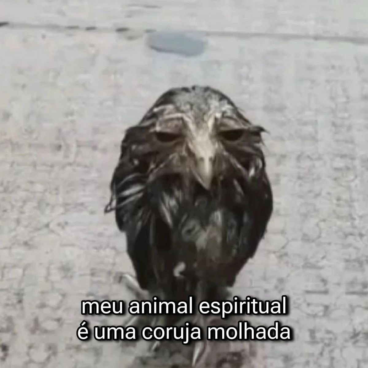vittor (@vittor) on Twitter photo 