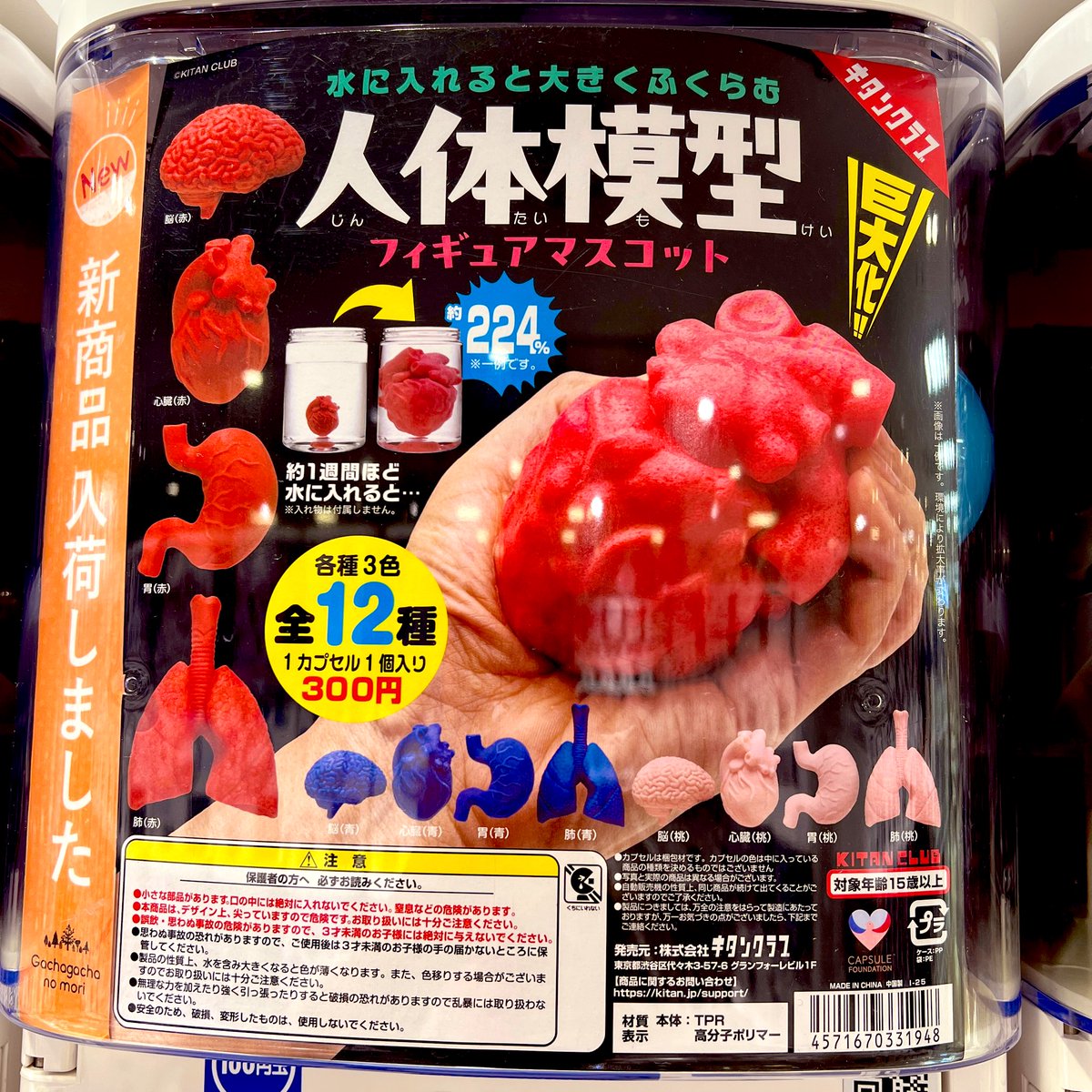 science_gacha's tweet image. #理系ガチャ #ガチャ 
ガチャガチャの森 ビックカメラ立川店