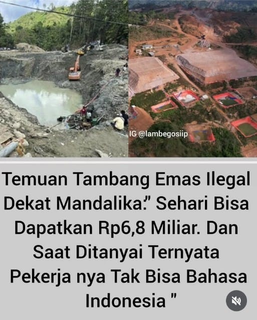TAMBANG ILEGAL TAPI KOK LOKASINYA TERANG-TERANGAN
Adalah keterlibatan oknum sebagai pelindung??
