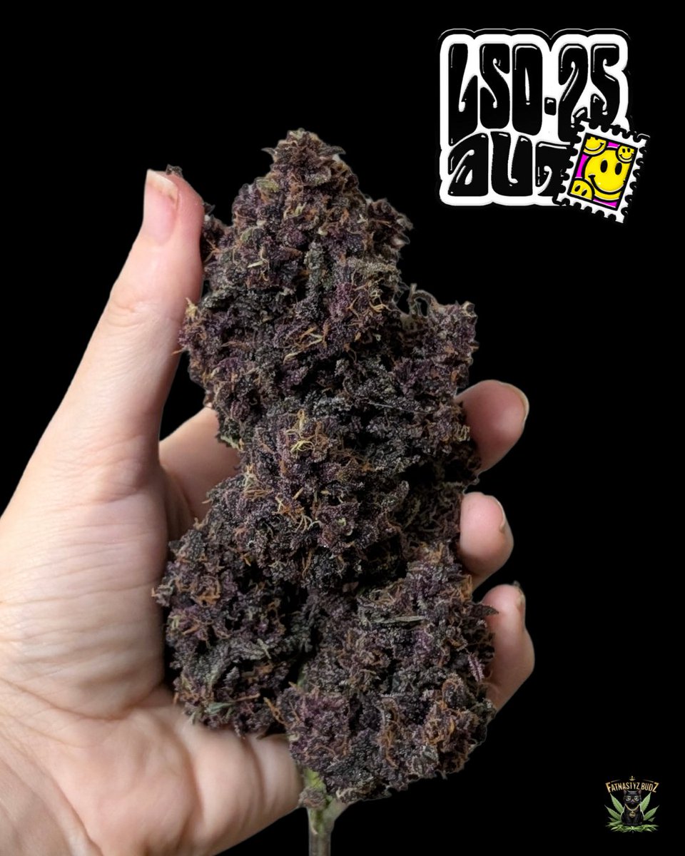 💨4⃣2⃣0⃣ HIGH GIVEAWAY💨
NEW LOGO SOCKS + TEXTIL POT+T-Shirt
10 seeds of your choice
You know what to do:
• Follow fast_buds
• Tag 3 friends
• Like + Retweet We will announce the winners next week! Good luck!🤞
Get 15% OFF with the code TWITTER
LSD 25 Auto @fatnastyzbudz_420