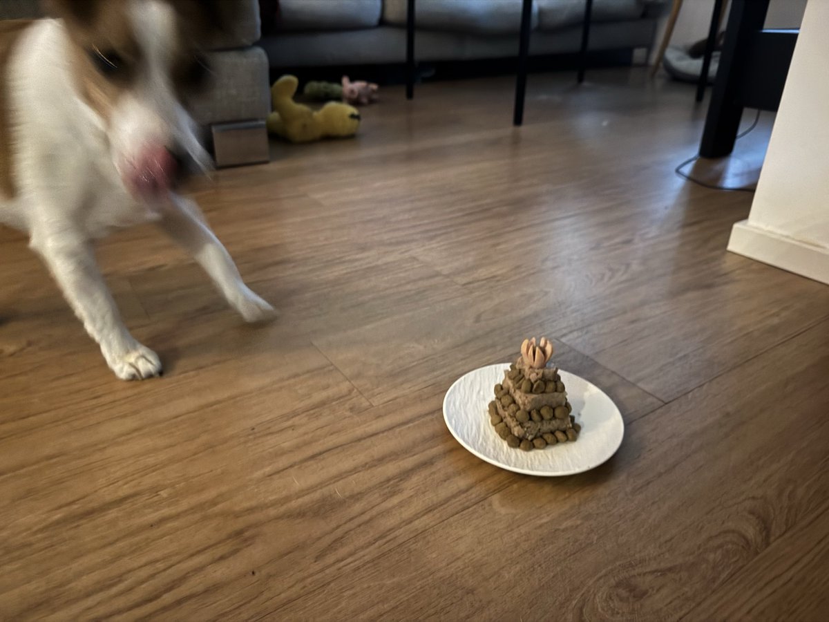 Jussi Koljonen tweet media