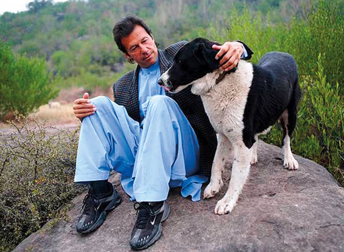 AdeelAsifPkOne's tweet image. کتا کون سی نسل کا ہے؟