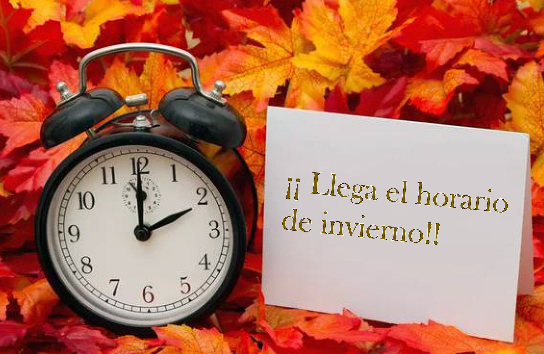 Foto cedida por Ayuntamiento de Valdemorillo