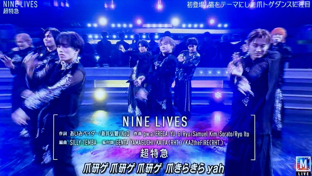 Man ステフォ Shock Absorber 311 404