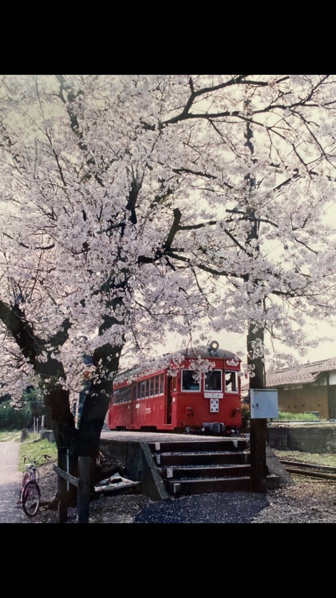 #これを見た人は赤が入ってる画像を貼れ