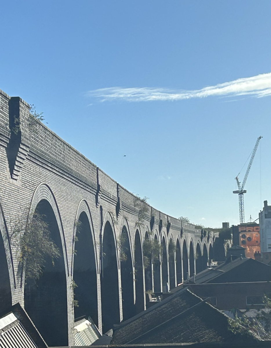 Peter Brennan tweet media