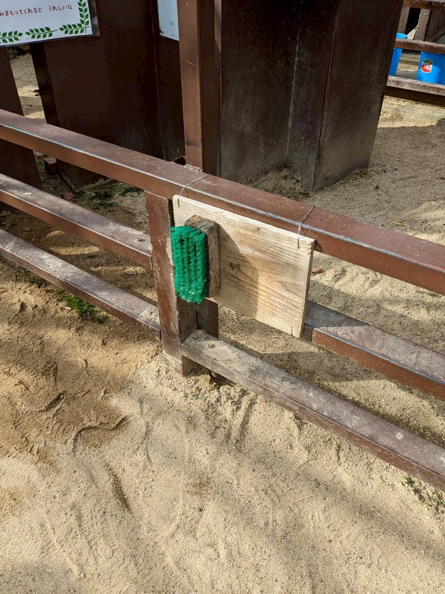 どうぶつたちの眠れない夜に tweet media