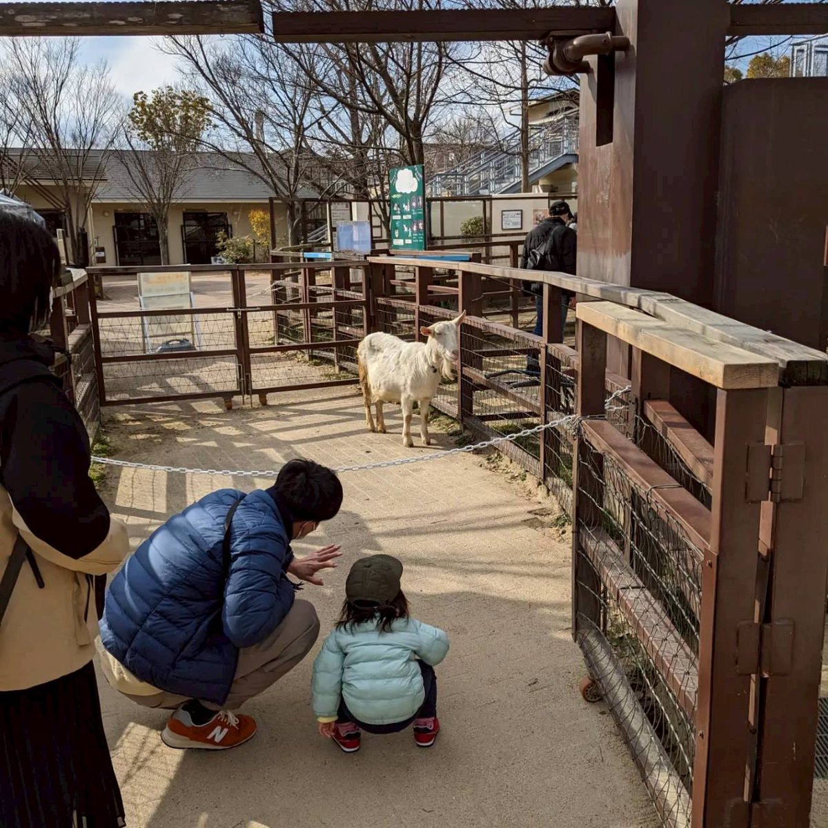 どうぶつたちの眠れない夜に tweet media