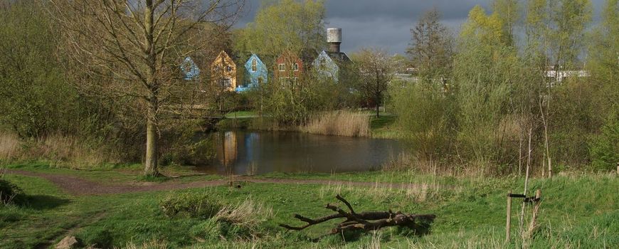Van 3+30+300-regel naar biodiversiteitsnorm: nieuwe stap in stedelijk groenbeheer: Nederland kleurt groener, maar ligt de echte uitdaging niet alleen in méér groen, maar juist in beter groen? Vanuit die vraag ontwikkelde Lieke Willems en haar collega’s… dlvr.it/TNsNnK