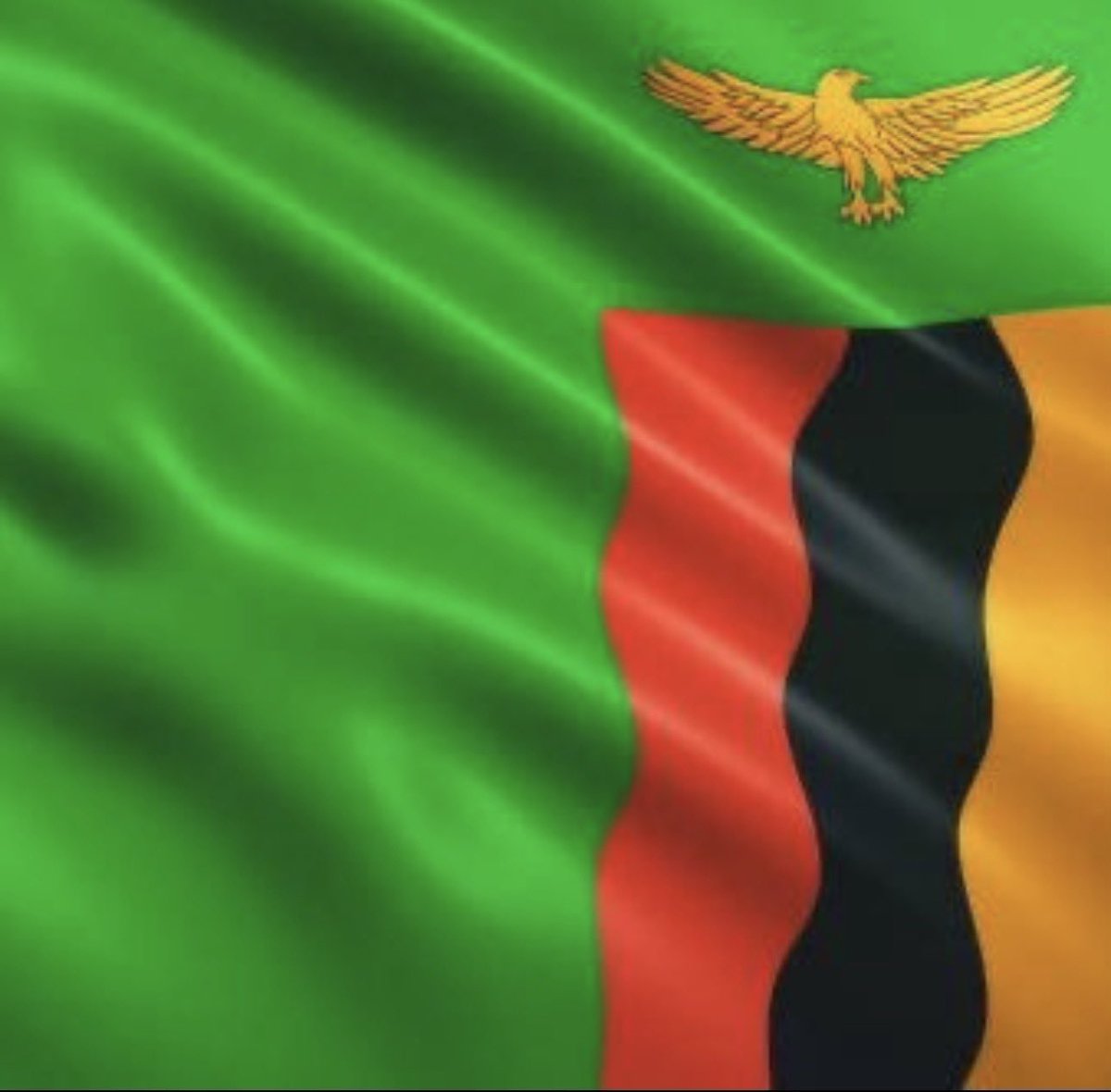 zedcreator's tweet image. The flag                      The hair 🤭