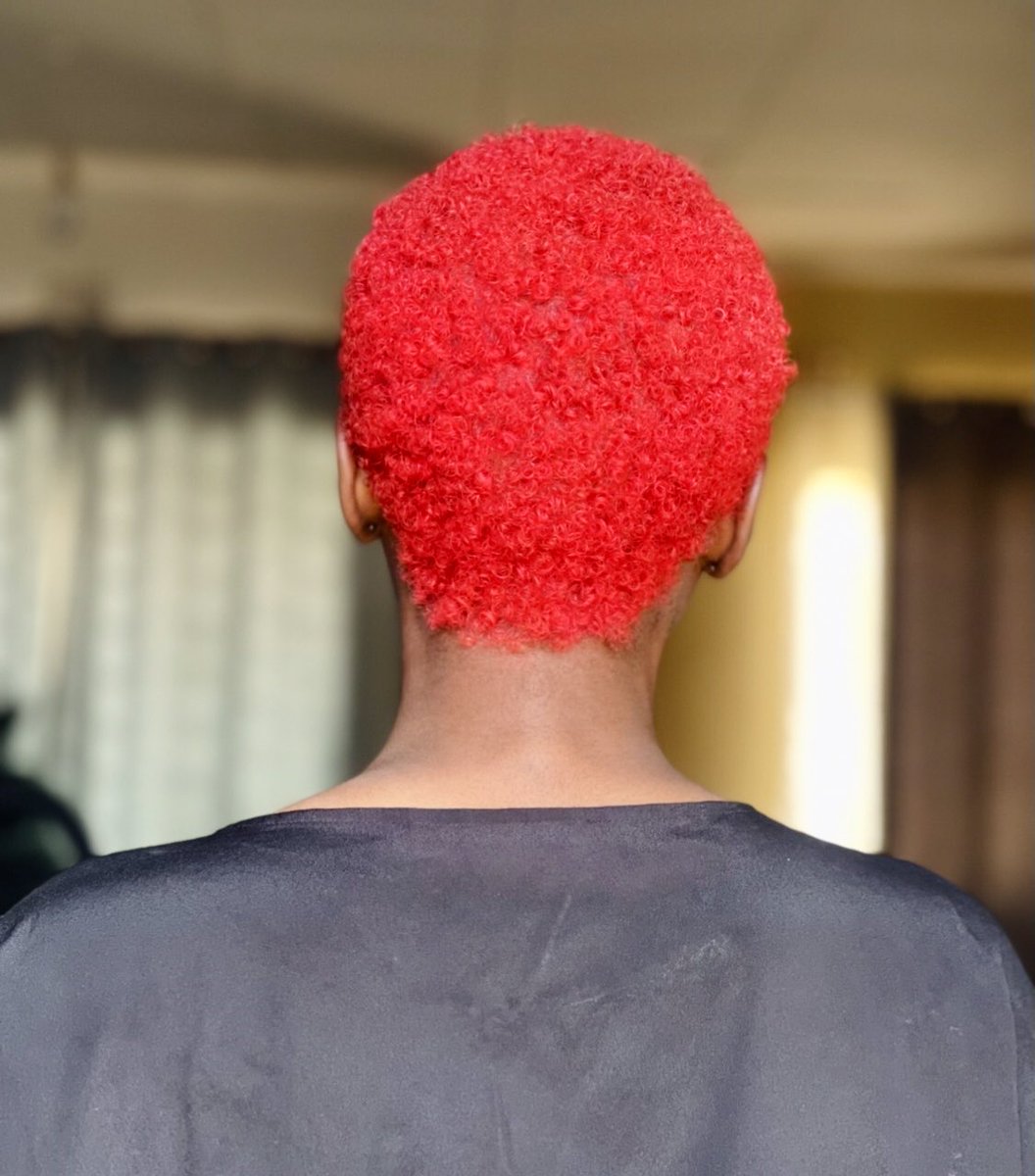 zedcreator's tweet image. The flag                      The hair 🤭
