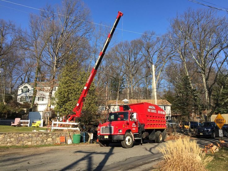 amazingtreesnj's tweet image. Land Clearing in NJ

Amazing Tree Services offers expert land clearing in NJ. Safe, efficient, and professional solutions for all residential and commercial projects. Learn more: atreeservicenj.com/land-clearing.…

#landclearing #njtreeservice #treeexperts #propertymaintenance #newjersey