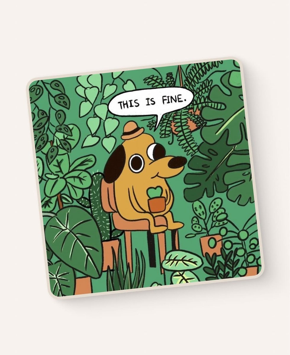 Chris Fredericks tweet media