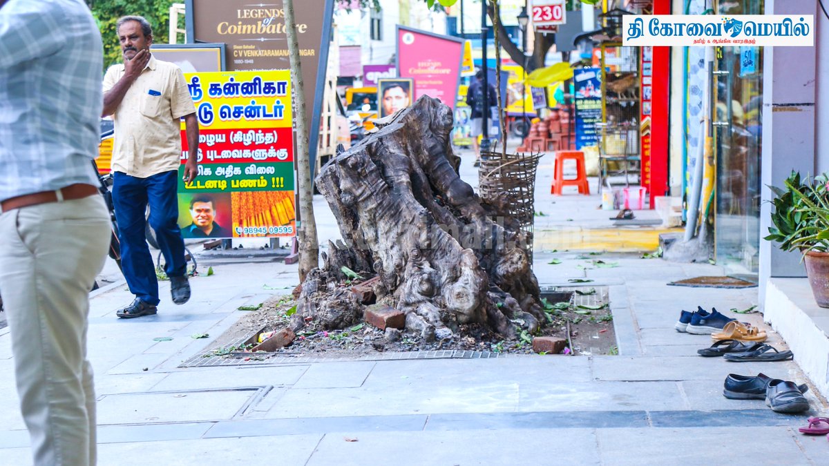 CovaiMail's tweet image. ஆர்.எஸ்.புரம் திவான் பகதூர் சாலையில் உள்ள கல்பனா ஸ்டுடியோவின் முன்புற நடைபாதையில் வெட்டப்பட்ட மரத்தின் வேர் பகுதி அகற்றப்படாமல் உள்ளது. இதனால் பாதசாரிகள் நடந்து செல்லுவதற்கு சிரமமாக உள்ளது.

#TheCovaiMail | #photostory | #treeremoval | #covai | #disturbance