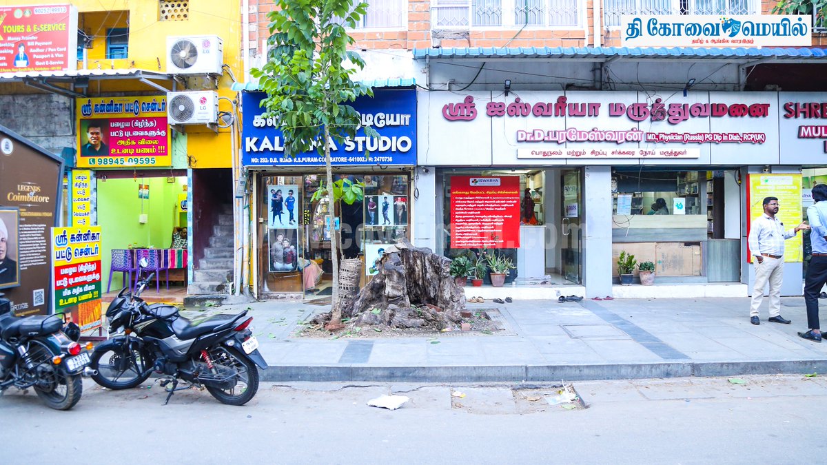 CovaiMail's tweet image. ஆர்.எஸ்.புரம் திவான் பகதூர் சாலையில் உள்ள கல்பனா ஸ்டுடியோவின் முன்புற நடைபாதையில் வெட்டப்பட்ட மரத்தின் வேர் பகுதி அகற்றப்படாமல் உள்ளது. இதனால் பாதசாரிகள் நடந்து செல்லுவதற்கு சிரமமாக உள்ளது.

#TheCovaiMail | #photostory | #treeremoval | #covai | #disturbance