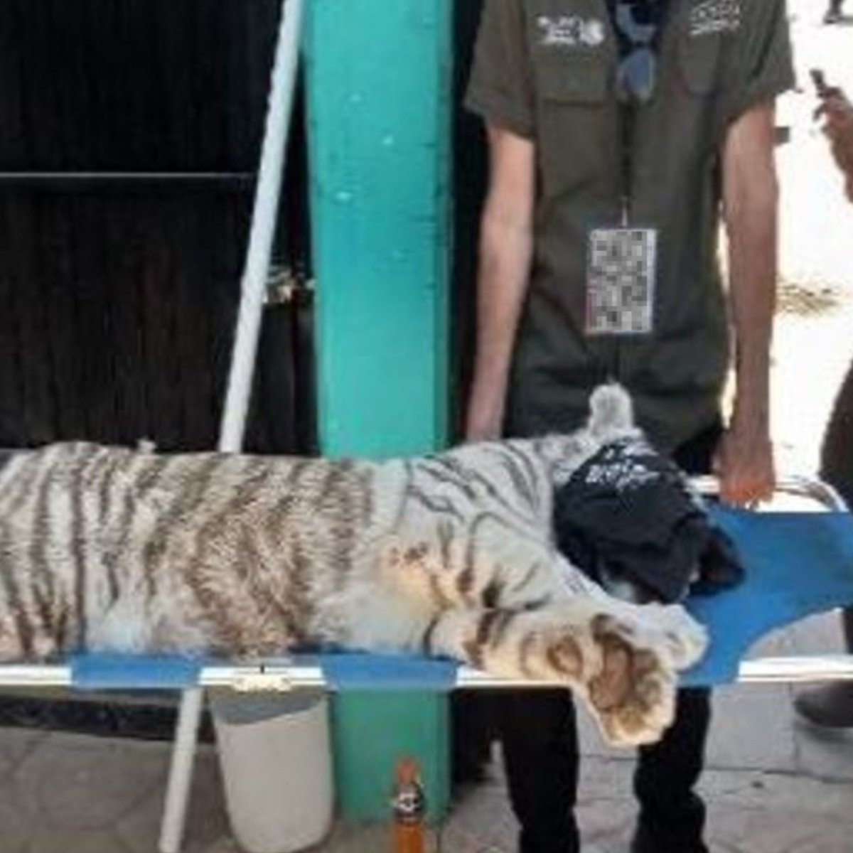 INTERPOL tweet media