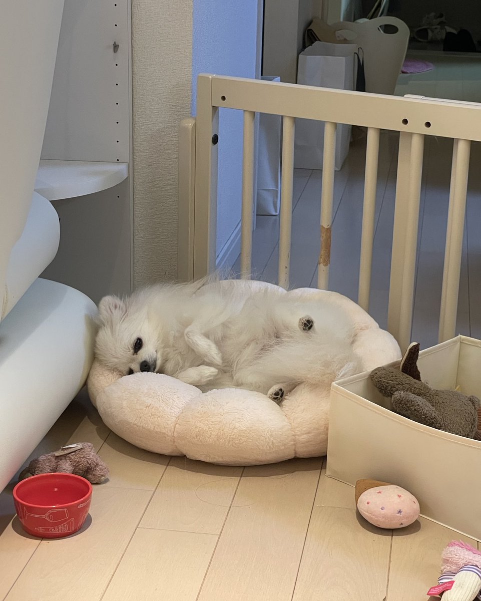 ポメころび様 068ポメころび様専用おまとめ商品 - メルカリ