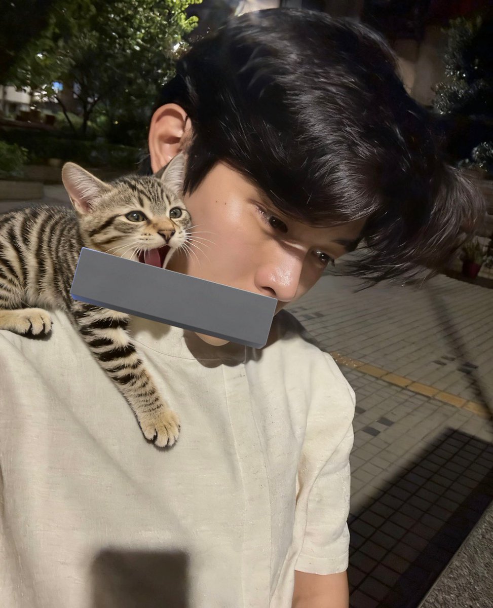 好乖欧 摸摸
#小貓