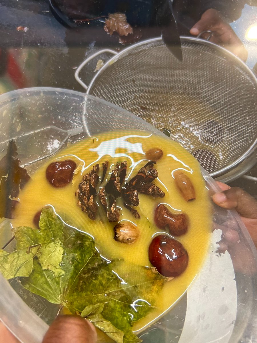 Reception have been learning about autumn, it teaches them about the cycles of nature and encourages environmental awareness. We have been adventuring on our back field, noticing how leaves change colour and observing  other signs of autumn. The children made ‘ autumn soup’.