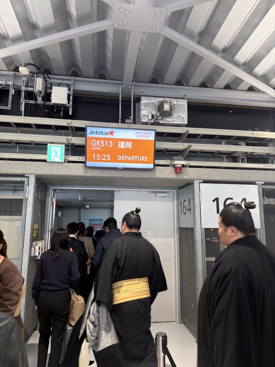 FlySoick's tweet image. LCCの座席にお相撲さんは…