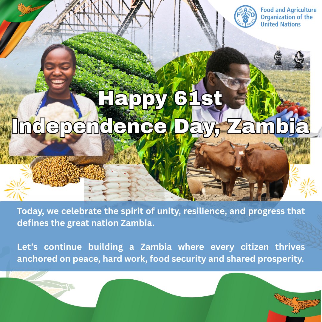 FAO Zambia tweet media