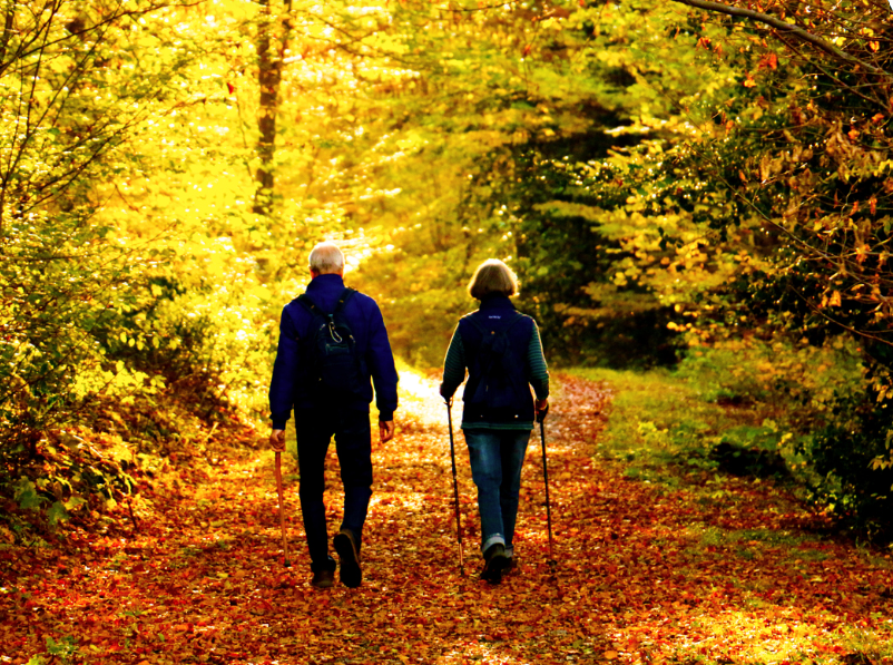 talkolderpeople's tweet photo. The Commissioner’s October Newsletter has now been published, highlighting the action taken by the Commissioner and her team over the past three months to enable older people across Wales to live and age well.

Read the newsletter here: https://t.co/g2LSLItq4d https://t.co/xMS5IX0QSS
